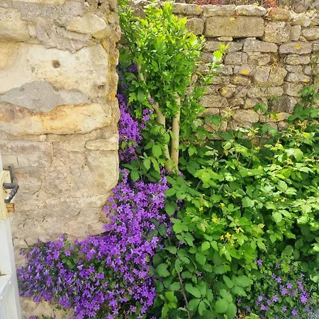 Jolie Maison Renovee Avec Jardin Holiday home Esnandes