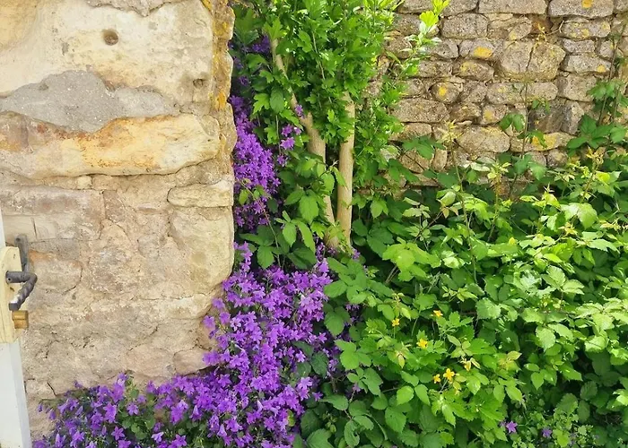 L Escale Esnandaise Ferienhaus Esnandes